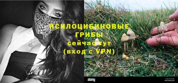дмт Богородск