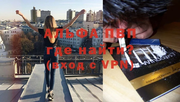 трава Богородицк