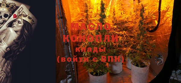 дмт Богородск