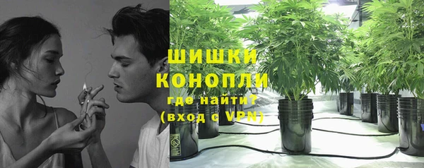 дмт Богородск