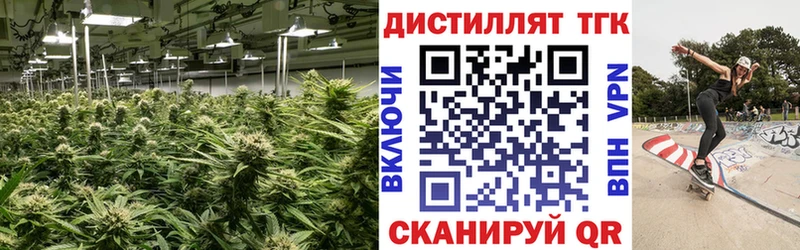 Дистиллят ТГК вейп  Бологое 